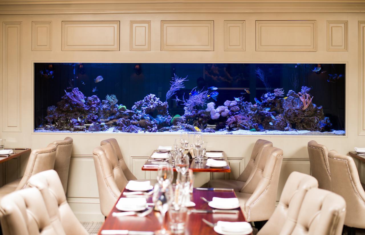 Vaughans Anchor Inn Liscannor Ngoại thất bức ảnh