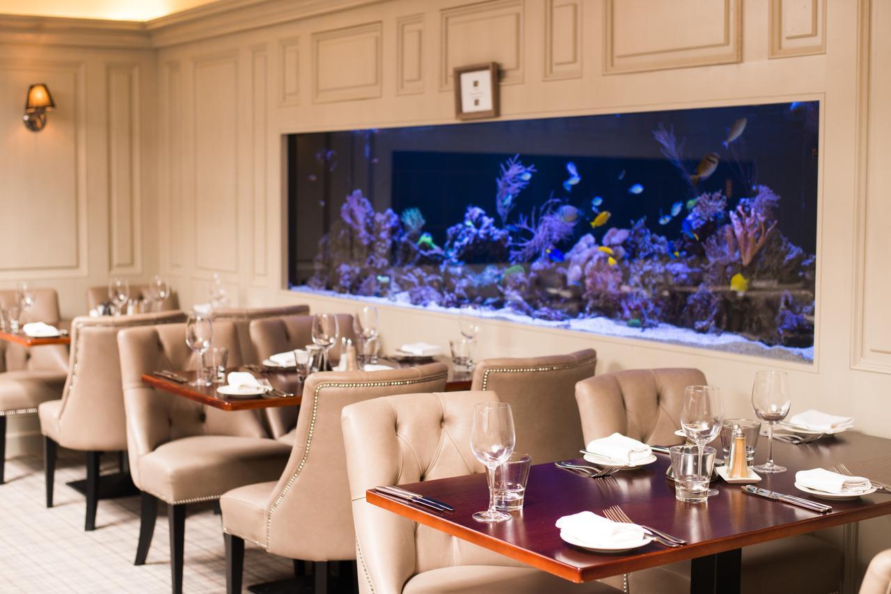 Vaughans Anchor Inn Liscannor Ngoại thất bức ảnh