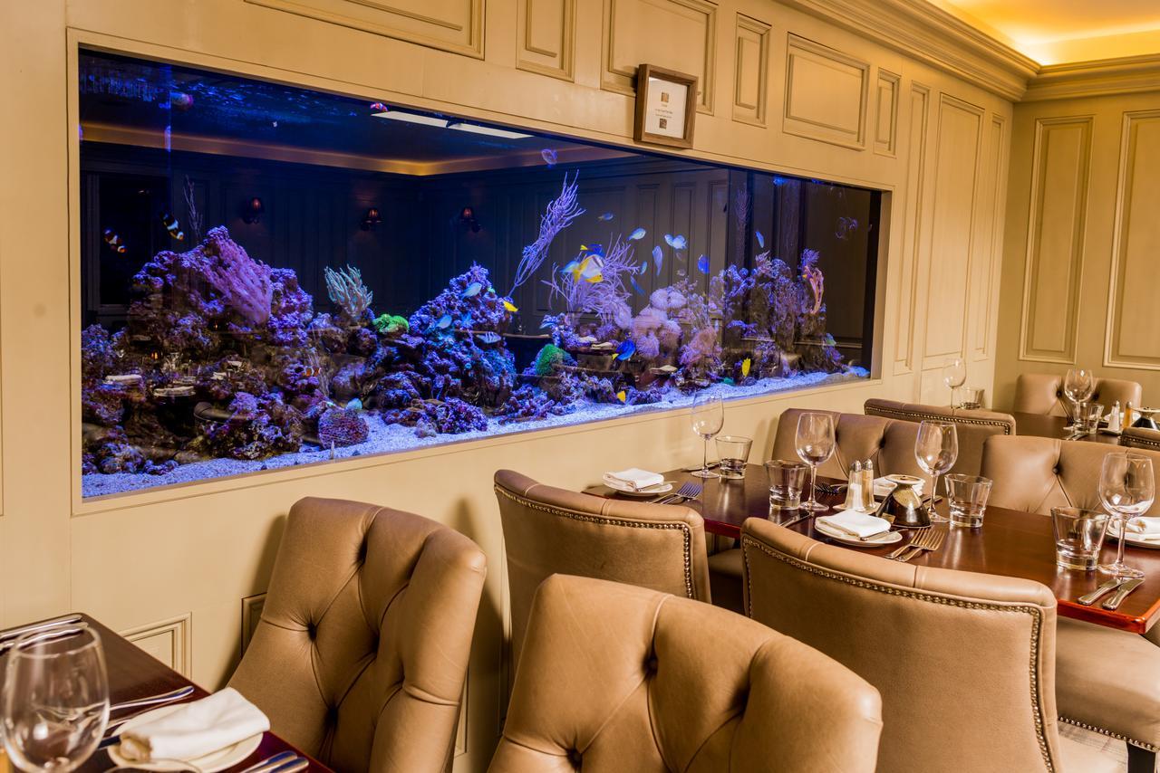 Vaughans Anchor Inn Liscannor Ngoại thất bức ảnh